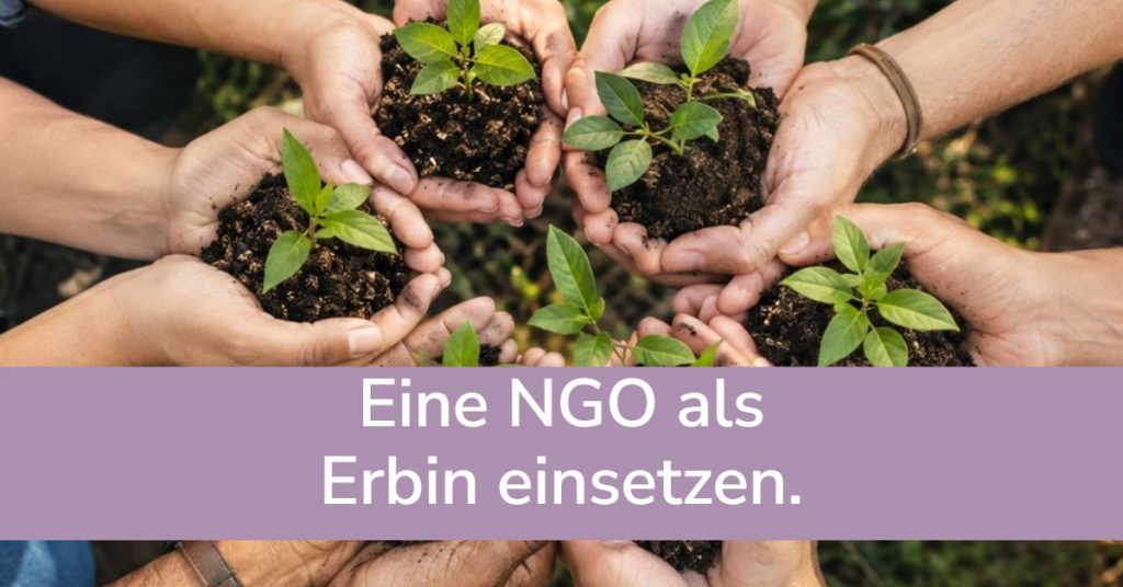 Eine NGO als Erbin einsetzen.